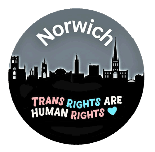 25mm button badge "Trans Rights are Human Rights"