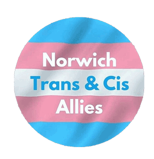 25mm button badge "Trans Rights are Human Rights"